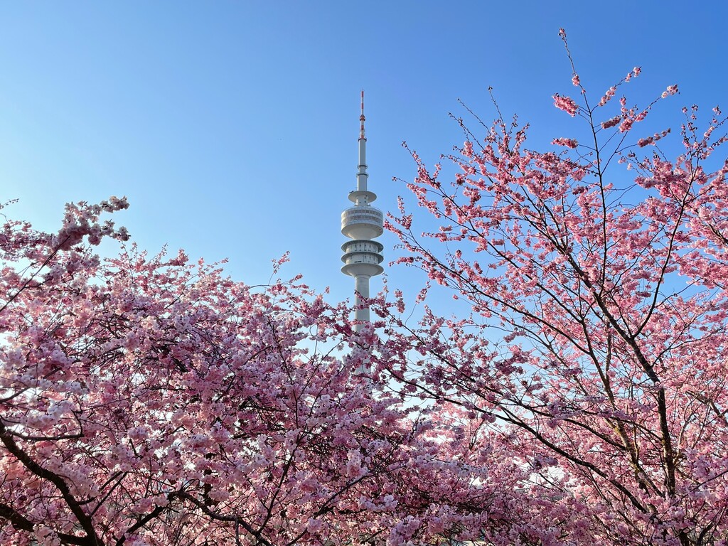 Munich-unsplash 02