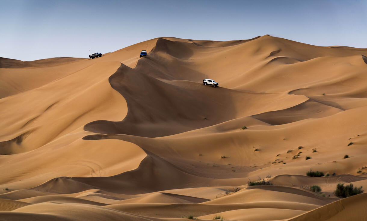 Desert safari 
