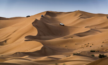 Desert safari 