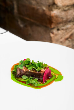 BBQ BEEF - Apple salad and sorrel dressing (2)