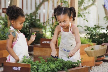 The Ritz-Carlton, Doha - Ritz Kids Garden & Farm